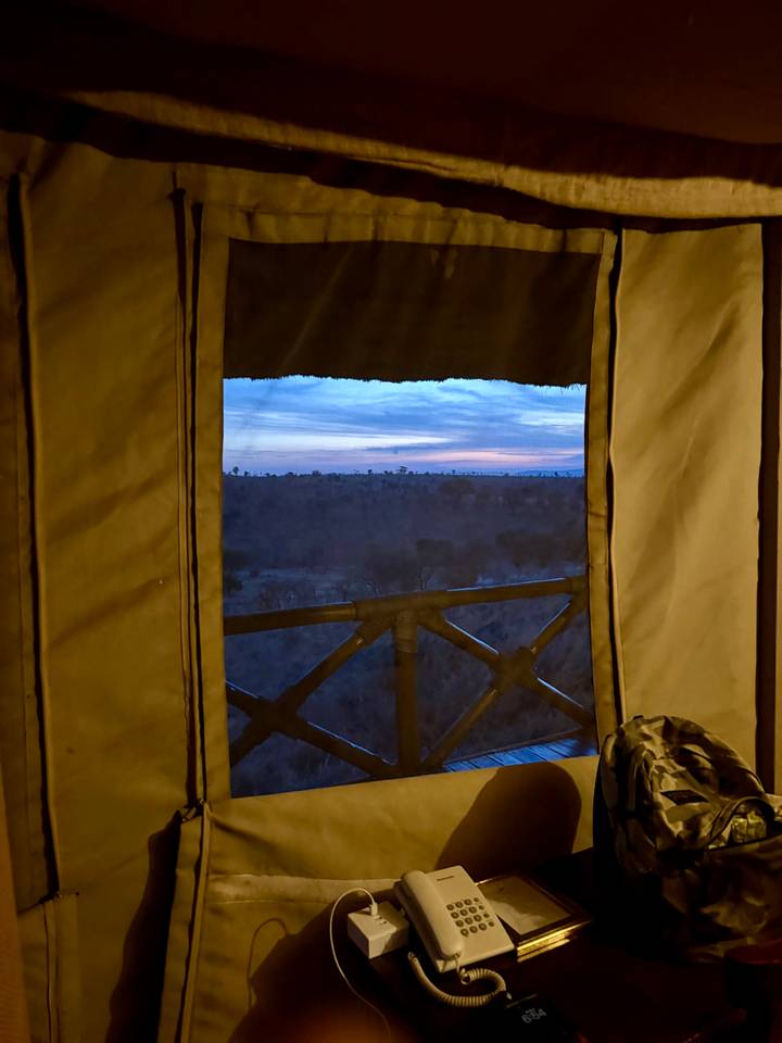 View of a blue and pink dawn sky and acacia plain framed by an open tent window.