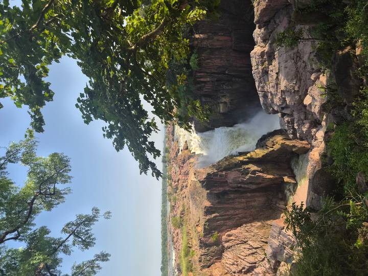 Powerful waterfall plunging into a rocky gorge framed by lush trees