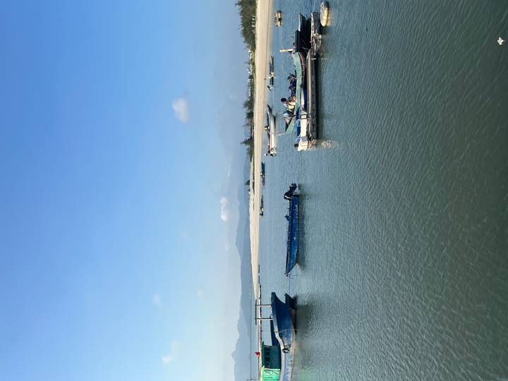 Small fishing boats float on calm blue water near a sandy shore under clear blue sky.