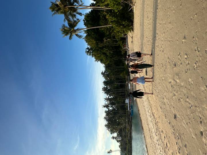 Travel group walks along a tranquil sandy beach lined with palm trees at dusk.