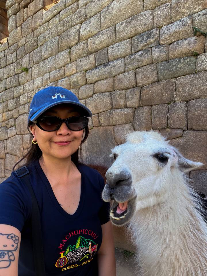 Close-up selfie with a friendly white llama against ancient Inca stone walls.