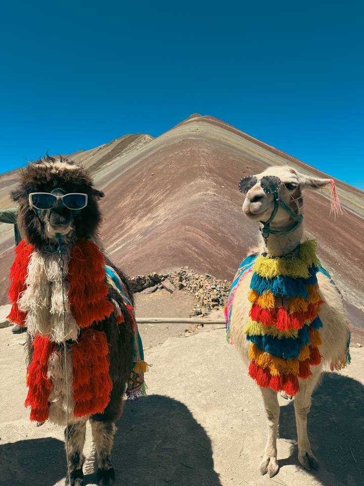 Two colorfully dressed llamas wearing sunglasses stand before the striped flank of Rainbow Mountain.