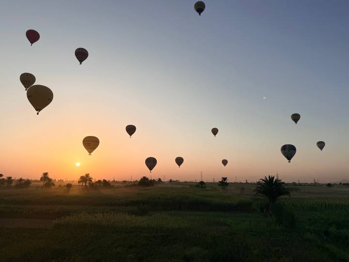 Multiple hot-air balloons drift above green fields and palm trees at sunrise, with a warm orange sky on the horizon.