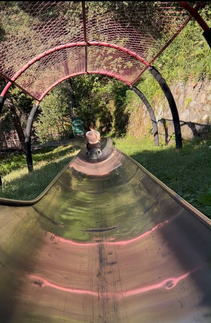 Traveller rides a metal toboggan slide through a green wooded hillside.