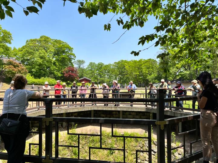 Tourists gather on a raised wooden platform under leafy trees on a sunny day.