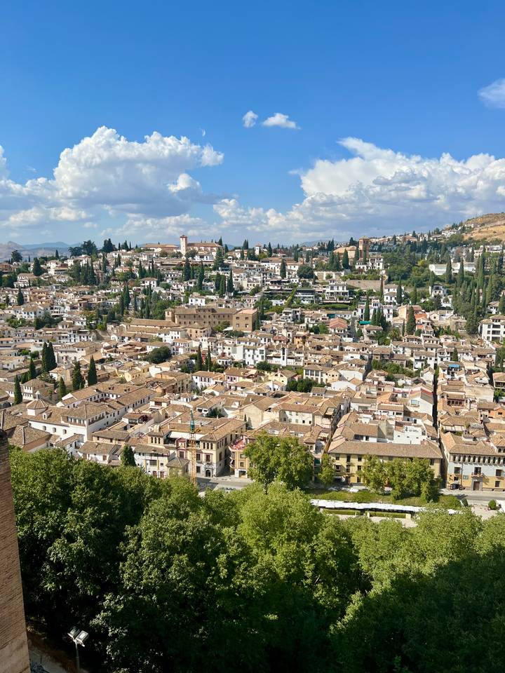 Panoramic view over tightly packed terracotta rooftops and cypress trees of Granada's Albaicín district.