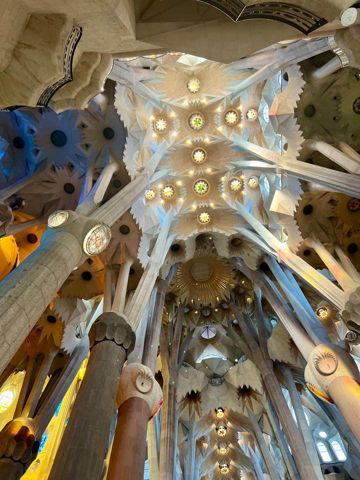 Dramatic star-shaped ceiling and soaring columns inside the Sagrada Familia.