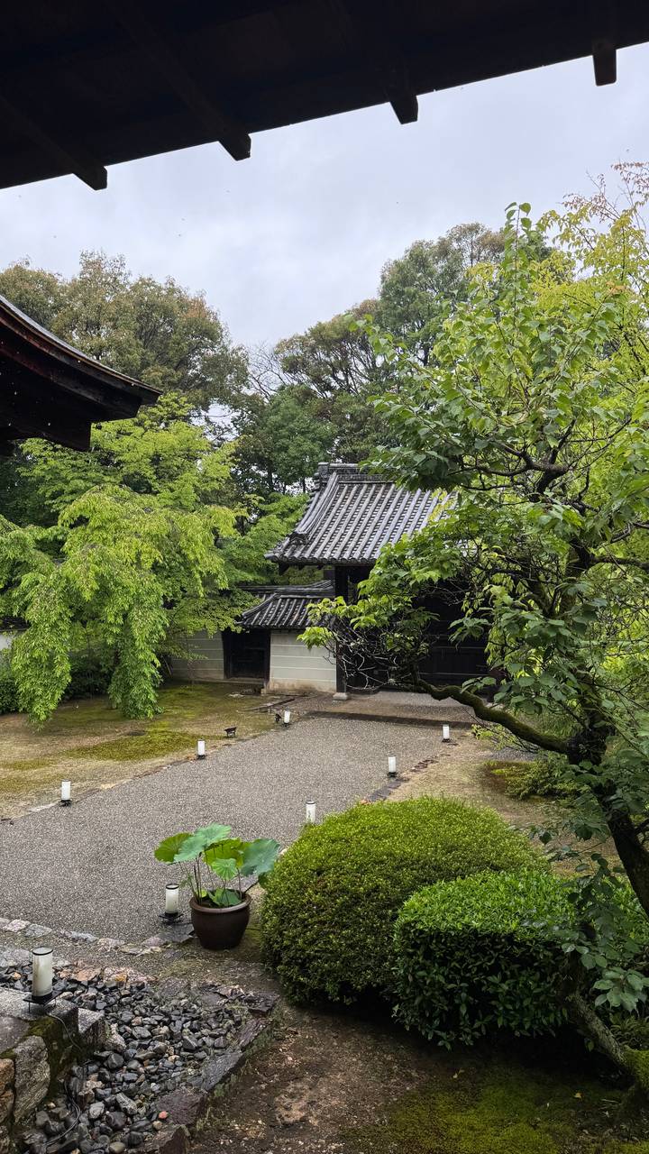 Tranquil garden scene with verdant trees framing a traditional tiled-roof gate beside a mossy courtyard.