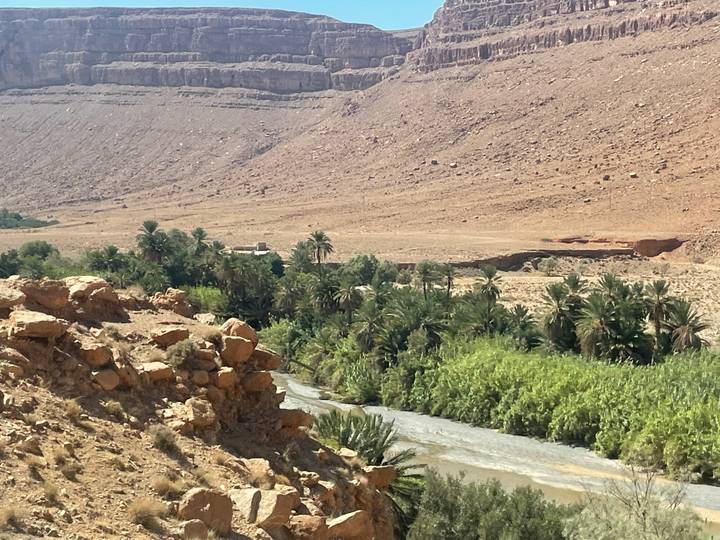 Green oasis of palm trees lining a riverbed contrasting with surrounding barren desert slopes.