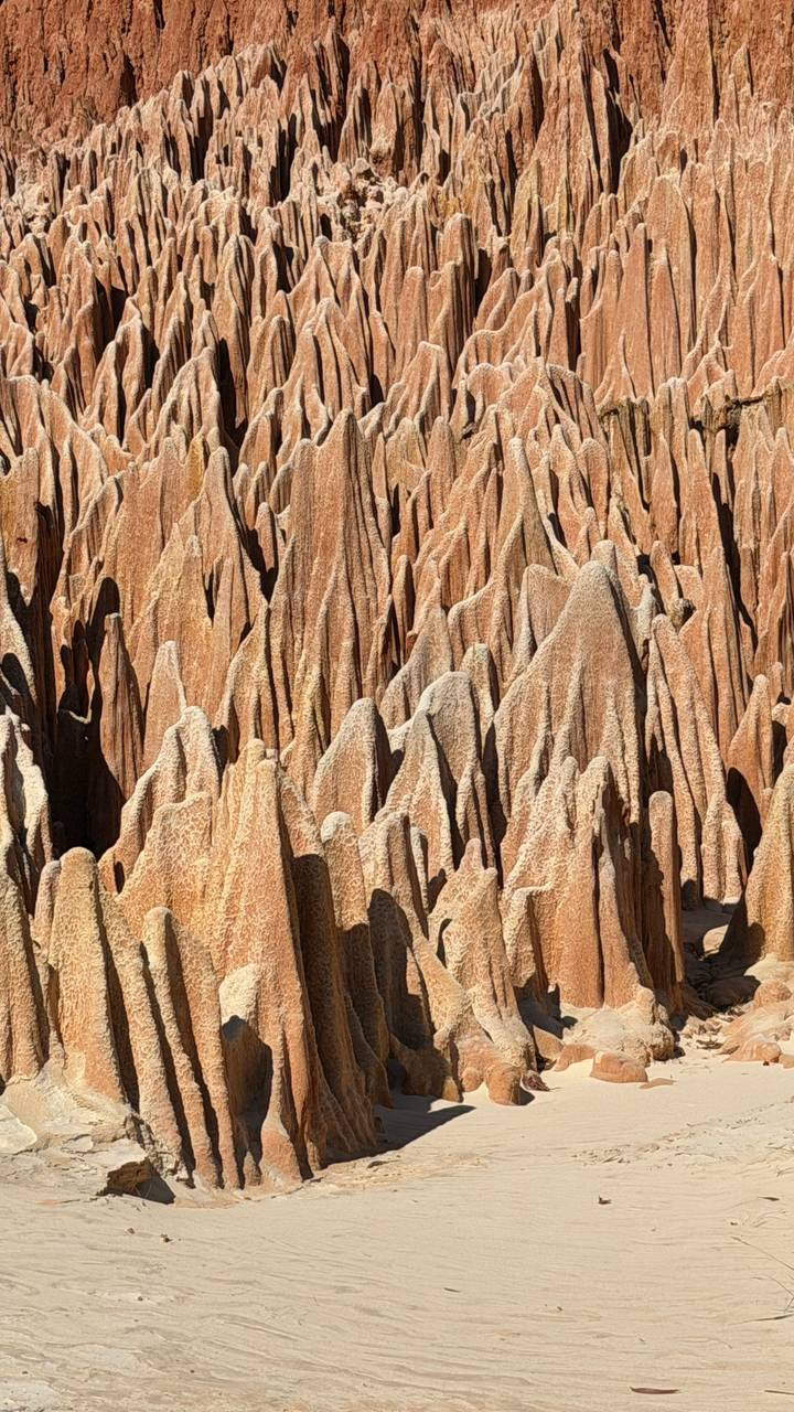 Jagged red tsingy rock formations create a maze of needle-like spires.