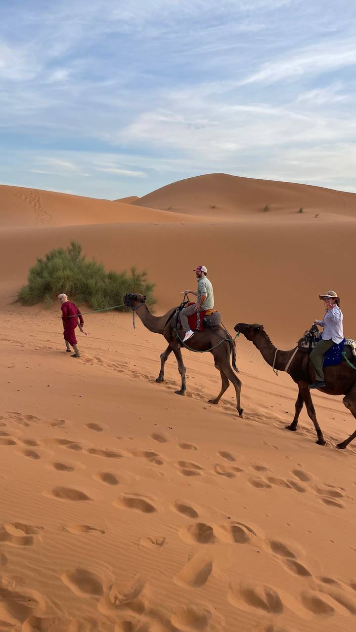 Two travelers ride camels led by a Berber guide across the golden dunes of the Sahara.
