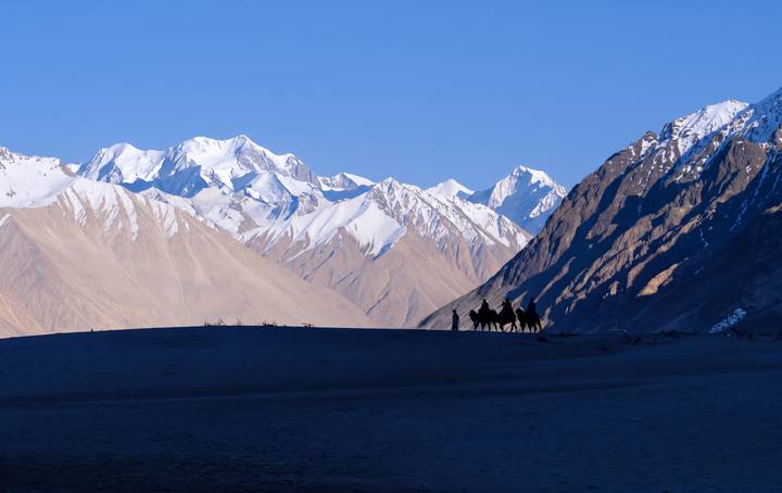 Silhouettes of a camel caravan on a sandy ridge with dramatic snow-covered peaks towering in the clear blue distance.