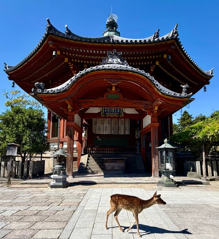 Traditional wooden temple gate with curved tiled roof and stone lanterns