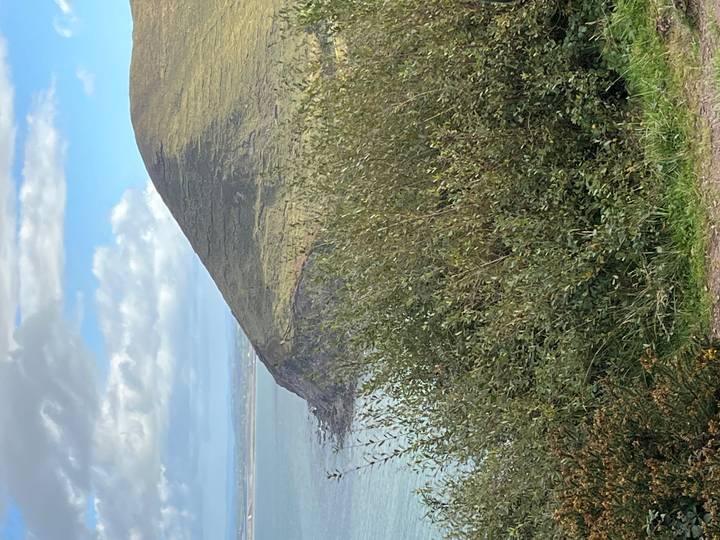 Bushy headland rises above turquoise sea under scattered clouds along Ireland’s rugged coast.