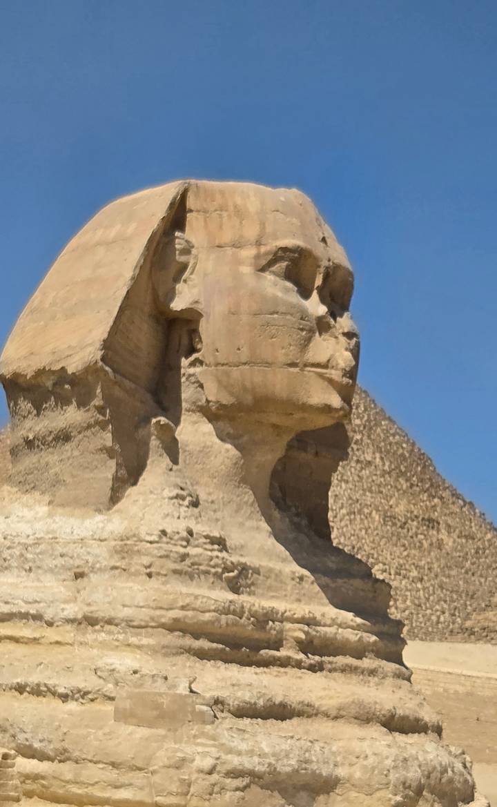 Side-profile close-up of the Great Sphinx with a pyramid behind against a clear blue sky.