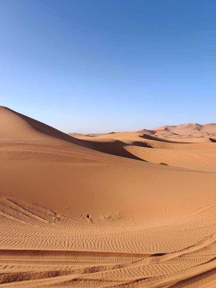 Sweeping view of golden sand dunes in the Sahara Desert with rippled textures under a clear blue sky.