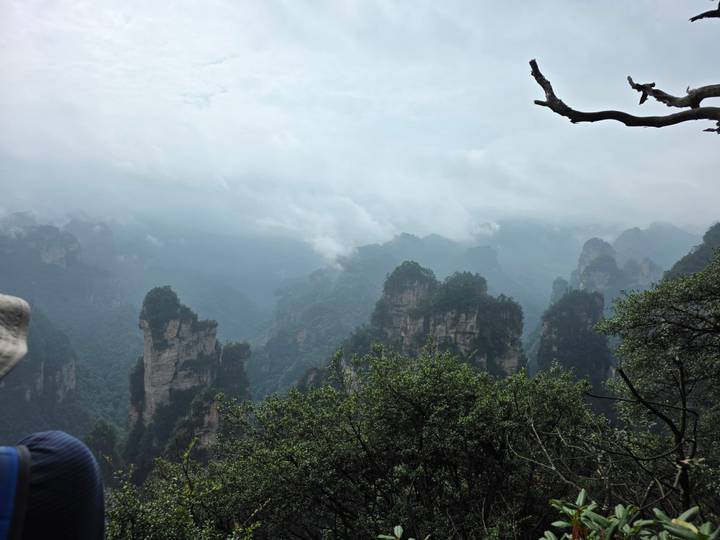 Layer upon layer of misty quartz pillars covered in green vegetation fading into grey clouds in Zhangjiajie National Park.
