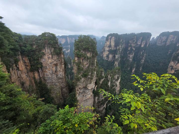 Towering, narrow sandstone columns cloaked in green rise from a deep valley in Zhangjiajie under overcast skies.