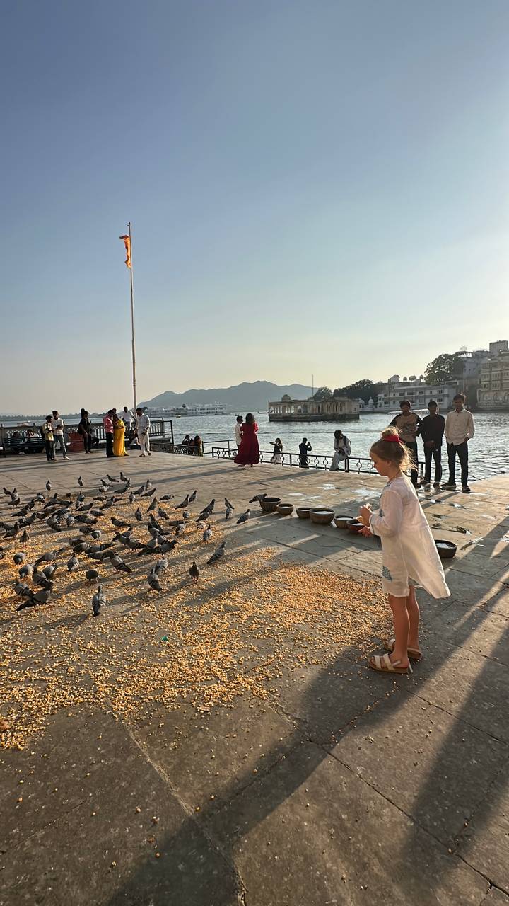 Lakeside promenade where locals and tourists feed pigeons with a backdrop of palaces and distant hills at dusk.