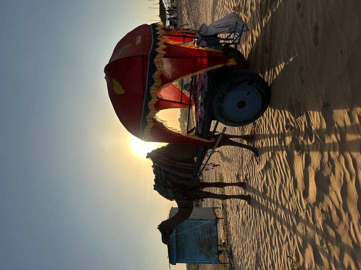 Silhouette of a camel cart against the setting sun casting long shadows on rippled desert sand.