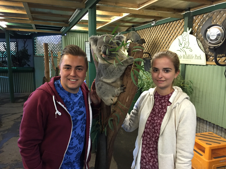 Two people posing with a koala in a wildlife park.