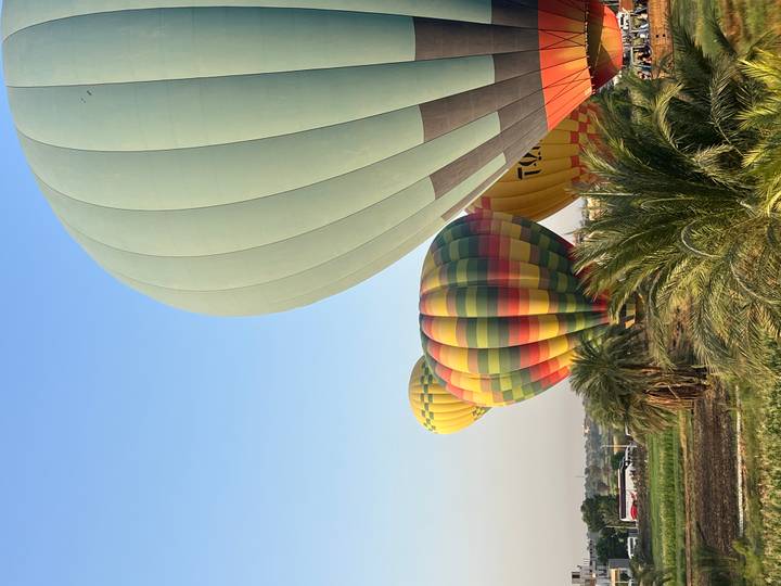 Colorful hot-air balloons rise over green fields and palm trees in the soft morning light of Luxor.