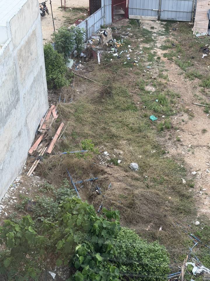 A patch of overgrown ground littered with construction debris beside a concrete wall.