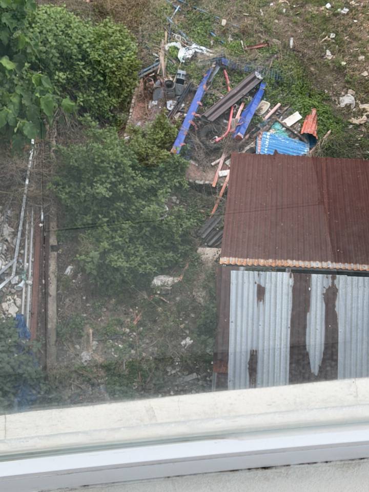 A corrugated metal roof and surrounding overgrown yard viewed from above.