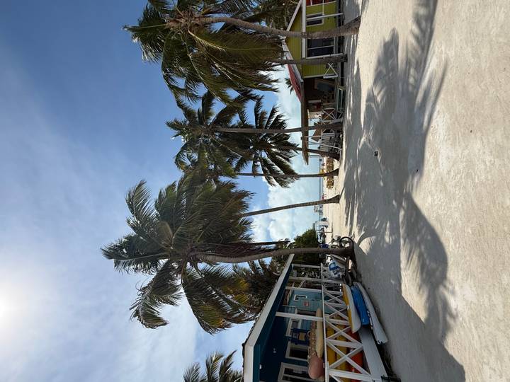Tropical beach lane lined with swaying palm trees, rustic huts, and soft white sand under blue sky.