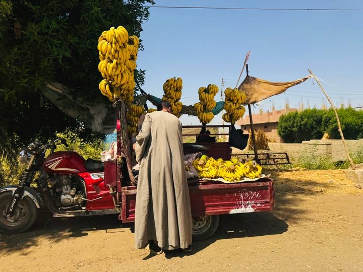 Local vendor loads bunches of ripe bananas onto a red motorized cart in rural setting.