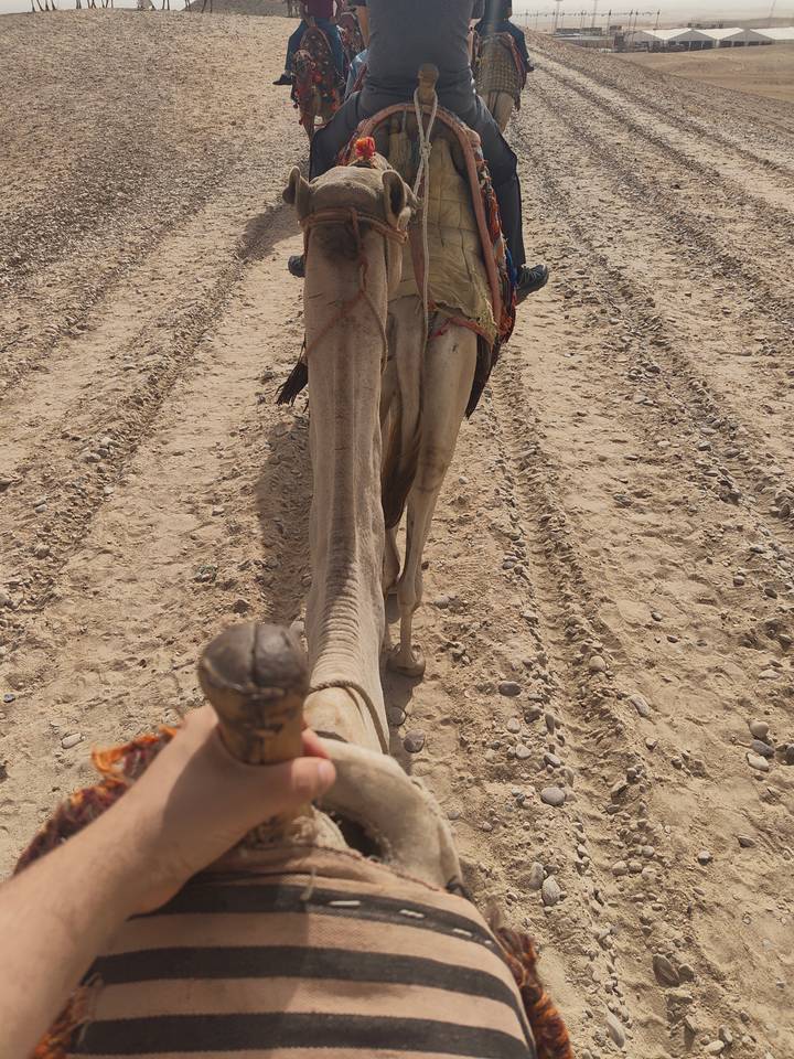 First-person view from atop a camel trekking across dry, rutted desert terrain.