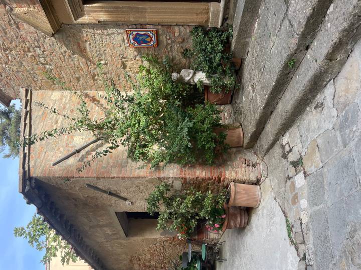 A quaint stone courtyard with potted plants and a small statue nestles between rustic terracotta walls in Tuscany.
