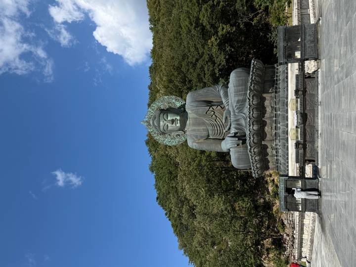 Large bronze seated Buddha statue in a mountain forest setting under a blue sky