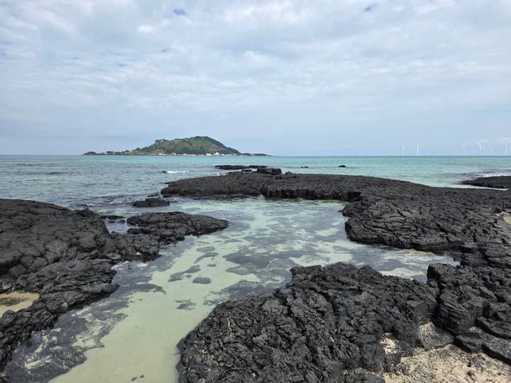 Volcanic black lava rocks and turquoise sea off the coast of Jeju Island