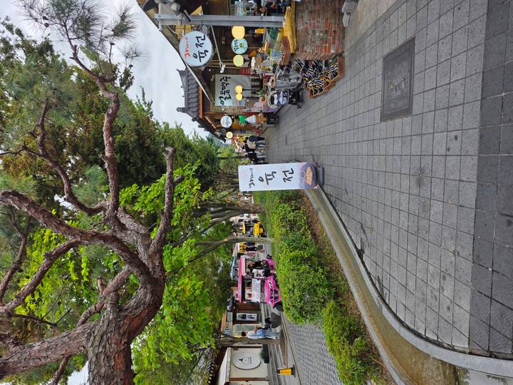 Pedestrian street in Jeonju Hanok Village lined with trees and traditional shops