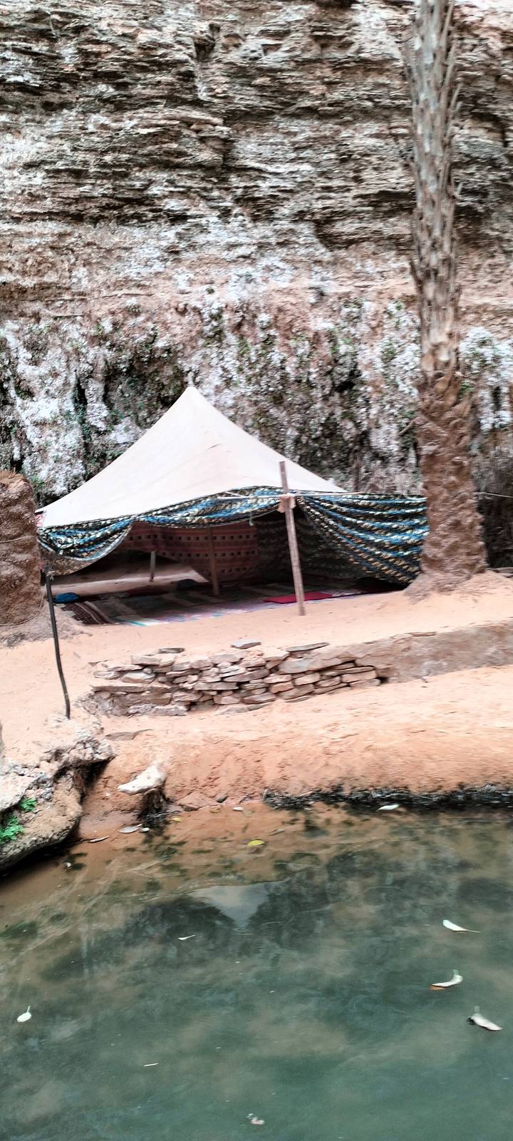 Canvas nomad tent draped with patterned fabric set among palm trunks, image slightly blurry