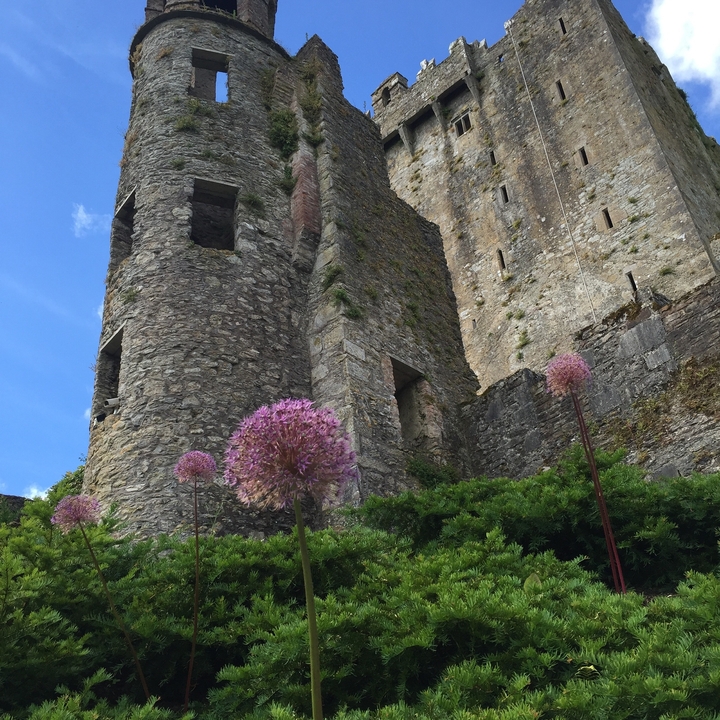 Tours d'un vieux château en pierre avec des fleurs au premier plan.