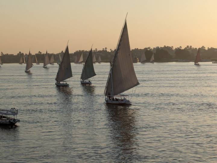 Traditional lateen-rigged sailboats glide across a wide river in warm evening light