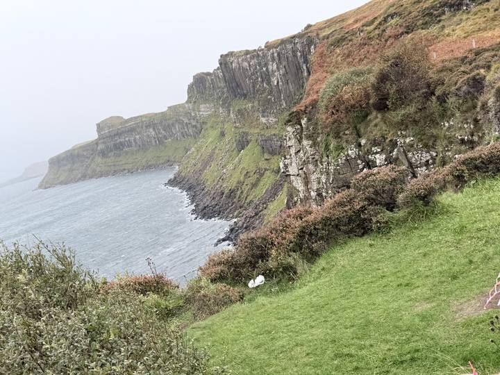Steep sea cliffs covered in green vegetation descending into a rough grey sea on a misty day.