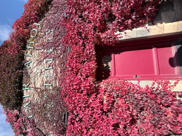 Facade of a stone distillery building covered in vibrant red ivy with a matching red door and partial signage.
