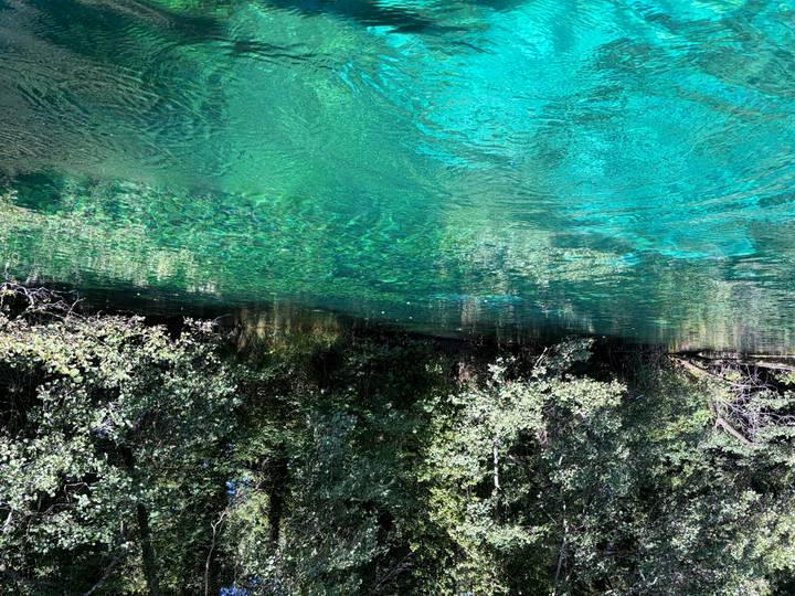 Crystal-clear turquoise river bordered by leafy green trees on a sunny day.