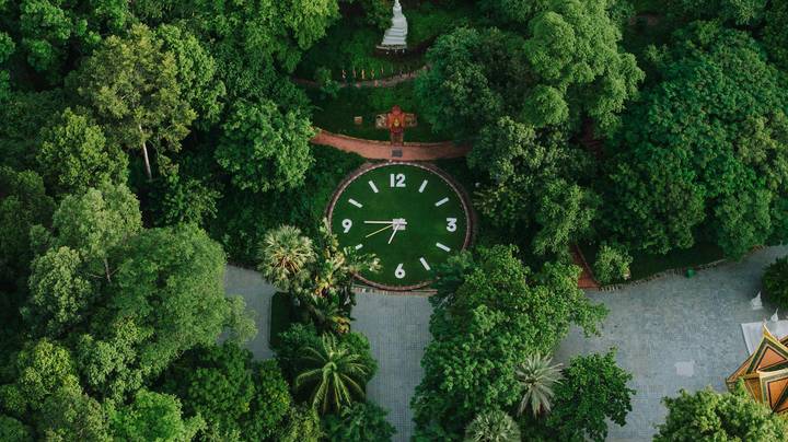Aerial shot of a large garden clock surrounded by lush green trees.