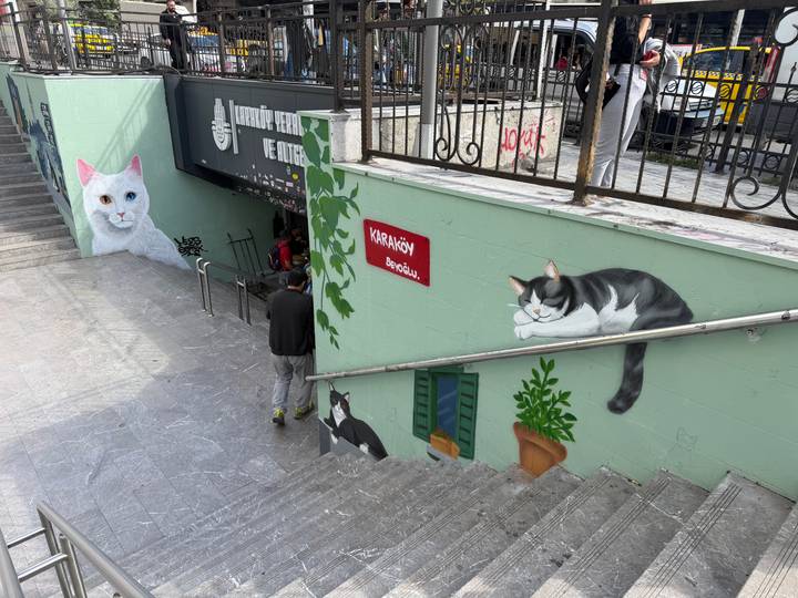 Street staircase in Istanbul painted with large cat murals where a man descends under wrought-iron railings.