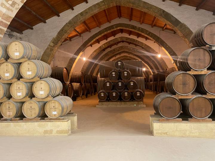 Interior of a traditional wine cellar lined with stacked oak barrels under vaulted stone arches.