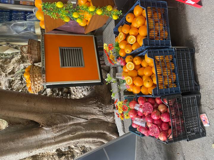 Street market crates filled with bright oranges and pomegranates beside a tree trunk.