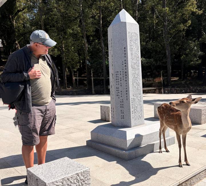 Man observing a tame deer next to a tall stone pillar with Japanese inscriptions in Nara Park.