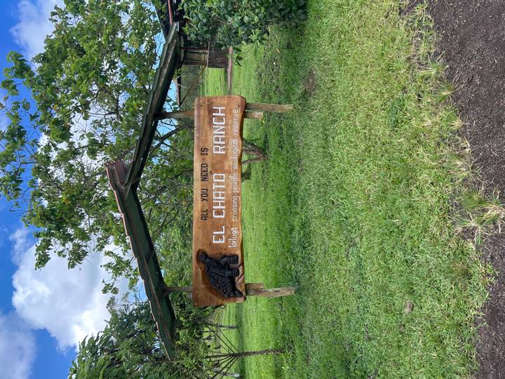 Wooden entrance sign reading 'El Chato Ranch' set in lush green pasture under scattered trees.