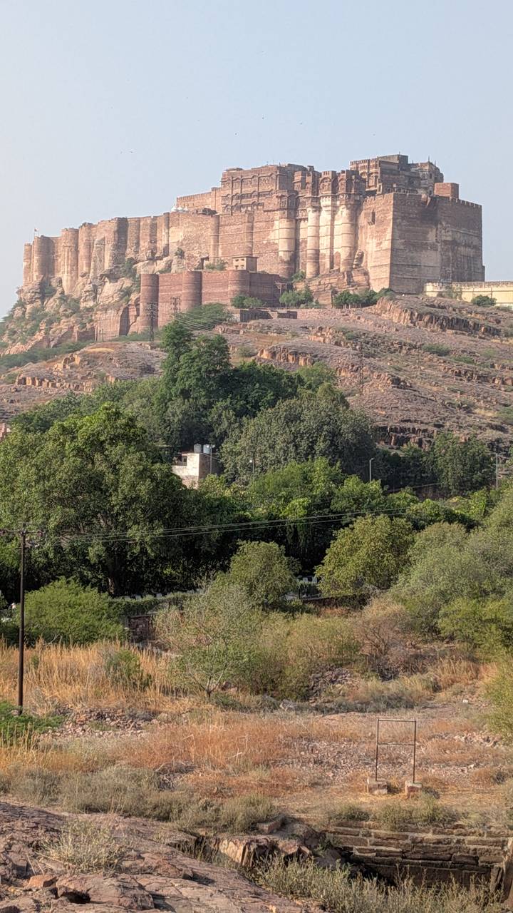 Daytime view of green trees and a rocky hillside landscape with sparse vegetation.