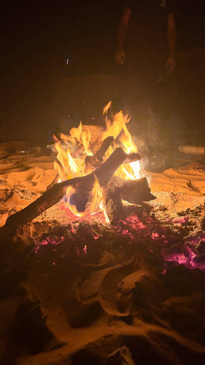 Close-up of blazing campfire with glowing embers on desert sand at night.
