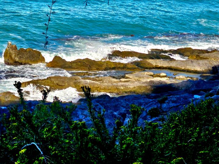Rocky shoreline with waves crashing over jagged stones, framed by coastal vegetation.